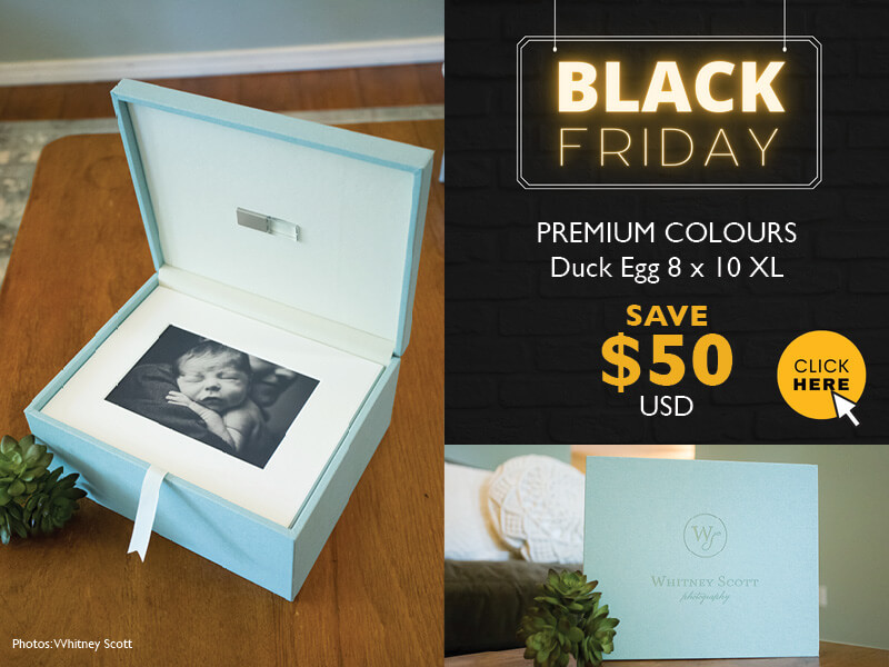 Black Friday Deal - Duck Egg 8x10 Folio Box