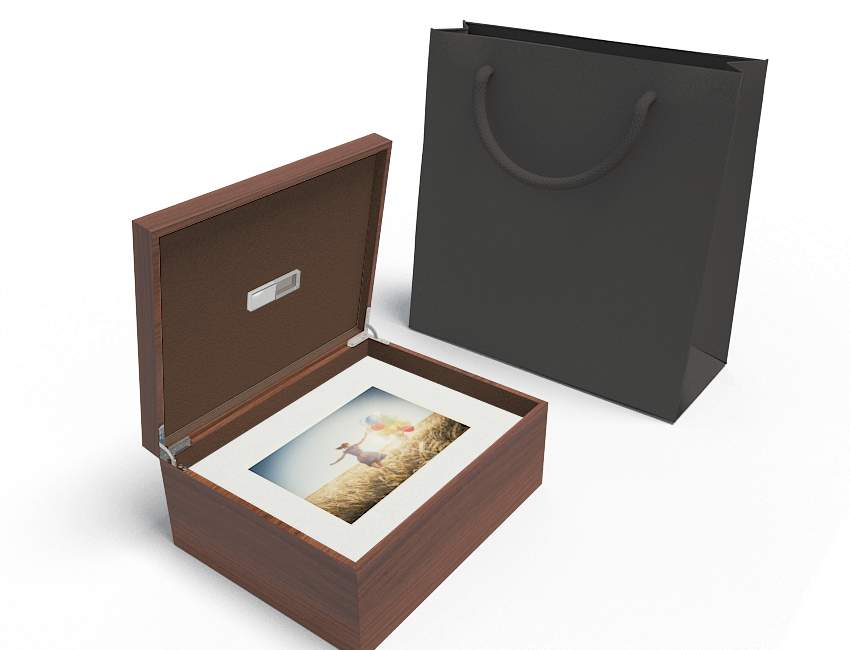 8x10 Brown Wood Window Folio Box (30 Mats)