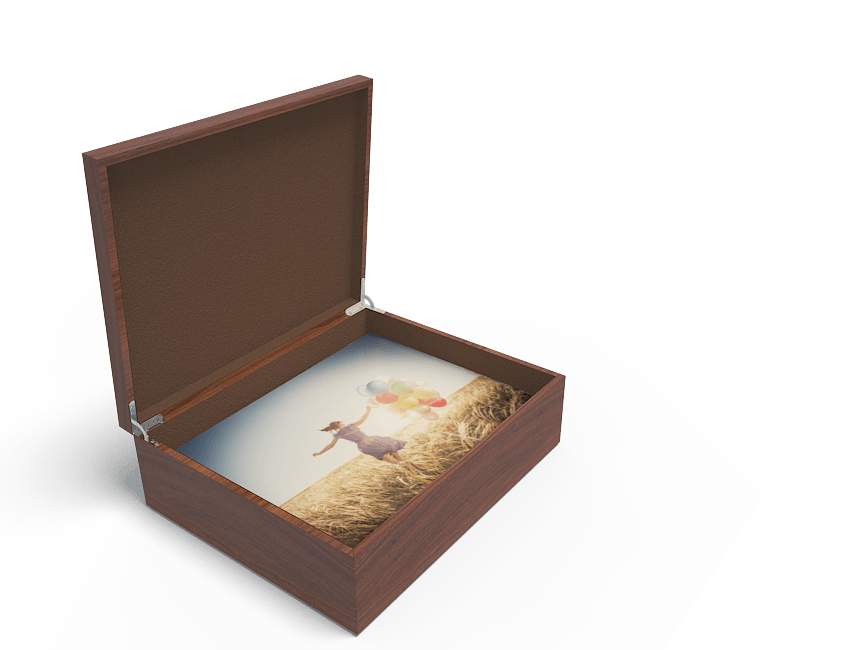 11x14 Wedding Box (30 Prints)