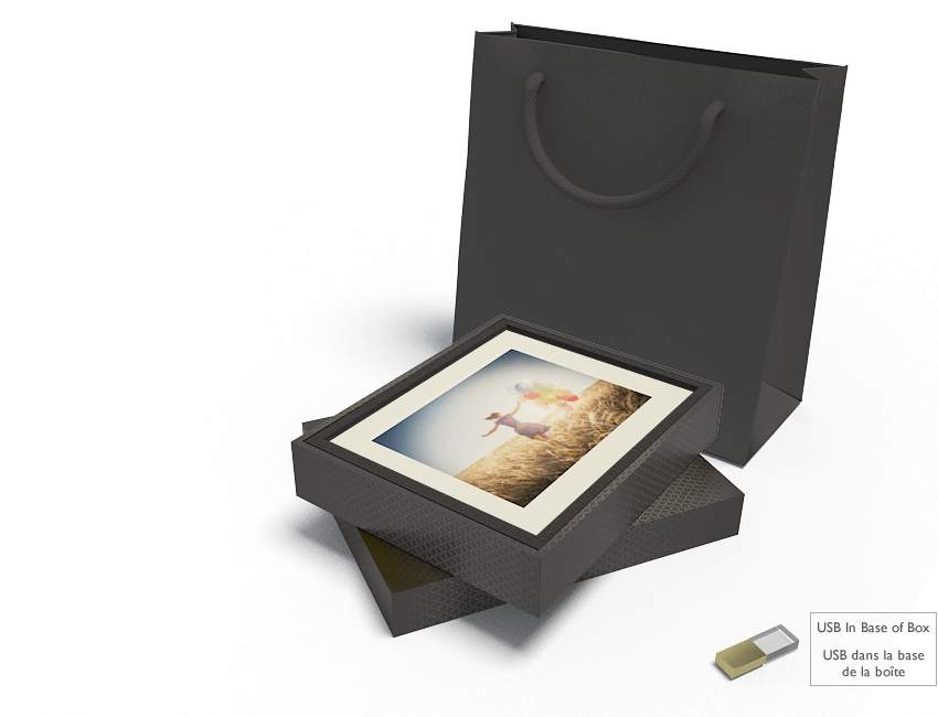 10 matted print folio box simple with usb