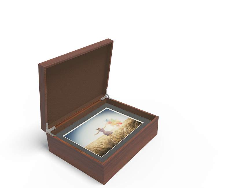 Walnut Window MOUNTED PRINTS