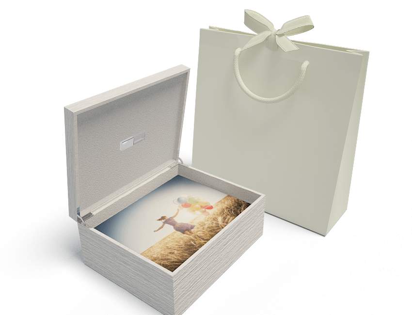 8x10 White Large Box - No Quantum or USB