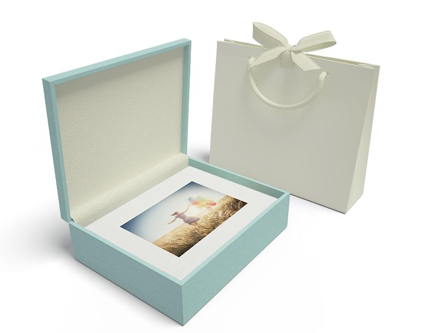 Premium Colours Duck Egg Box XL