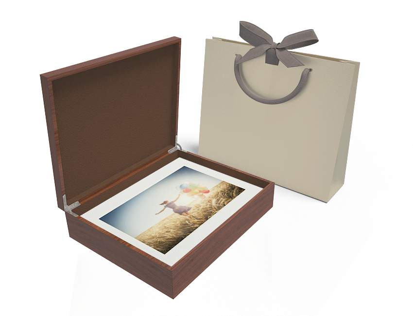 Window folio box 10 matted prints