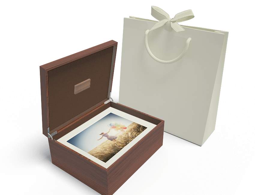 BEUZEBOC Coffret bois PM 30 PP Ivoire Grande ouverture + Clé USB