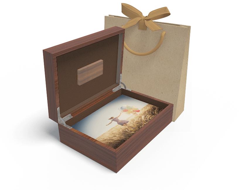 Hound Dog Images Wooden 6x4 box and USB 