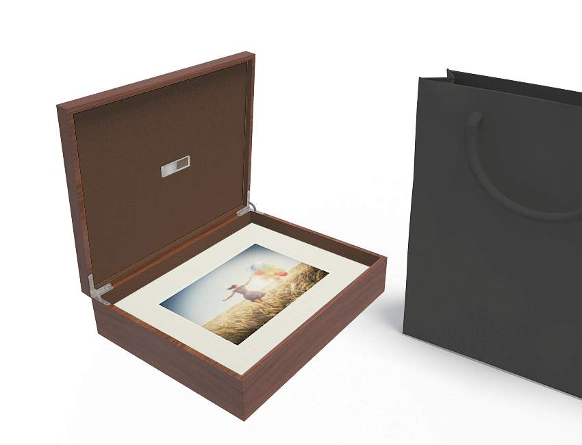 Premium Wood Window Folio Box 8Gb