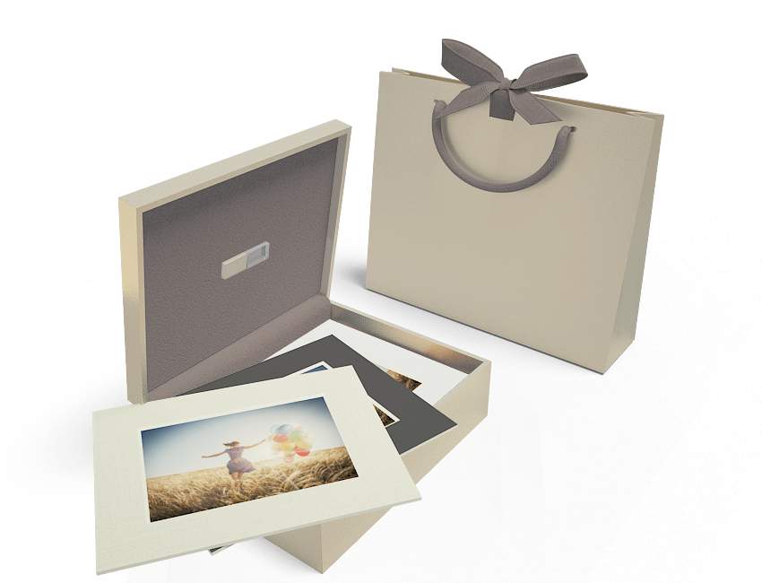 8x10 Champagne Gold 20 image Folio Box with usb and mats