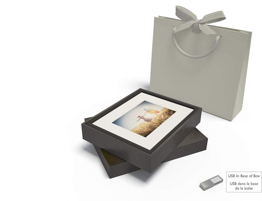 10 portrait box, with usb, white mats, white print logo on box