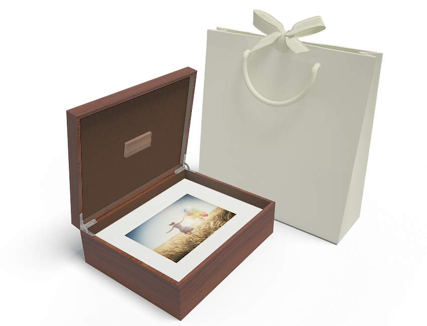 Window Folio Box Walnut w/Gold & Ivory Branding