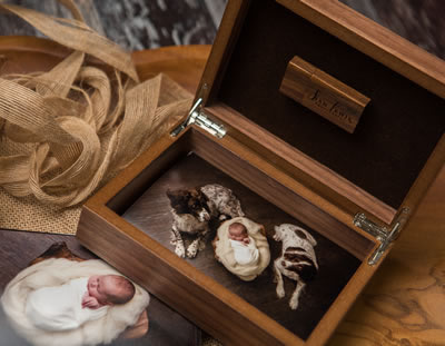 Premium Wood 4x6 Print and USB Boxes available in walnut